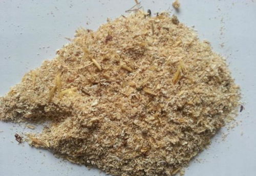 小麥麩皮與礦物加工 助力健康減肥的雙重優(yōu)勢(shì)